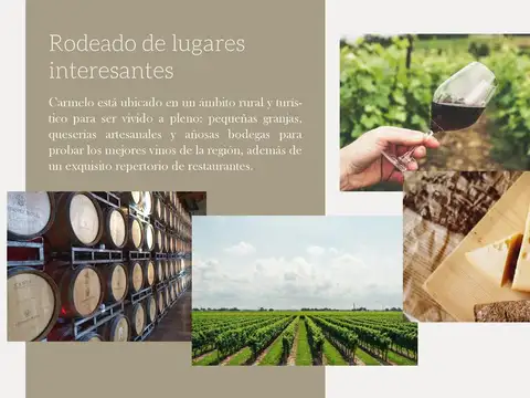 Terreno en Venta de 20320000,0 m2