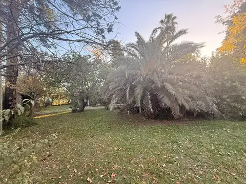 Terreno en Venta 10  mts Fondo