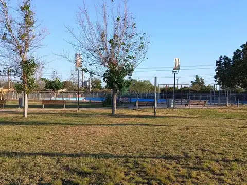El Trebol 100