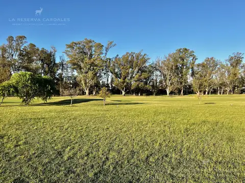 Terreno en Venta 20  mts Frente