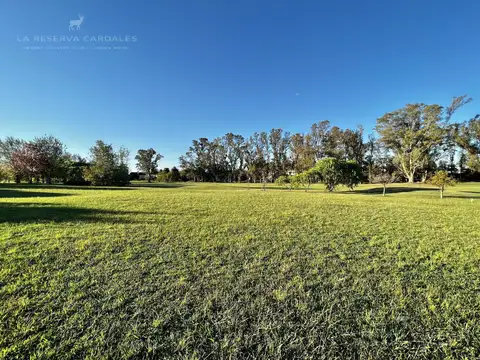 Terreno en Venta 50  mts Fondo