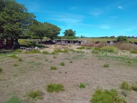 Quinta en Venta en Carhue, USD 130.500