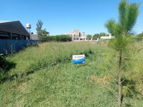 Terreno en Venta 14  mts Frente