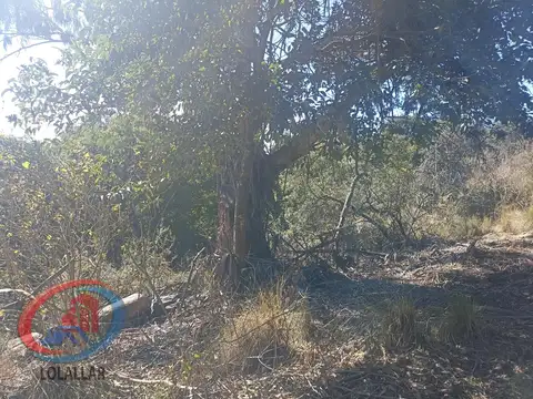 Terreno en Venta de 3608,0 m2