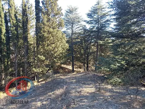 CAMINO A SAN JOSE DE LA QUINTANA