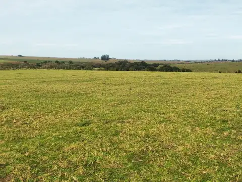 Camino vecinal de los tambos 100