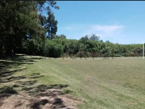 Campo en venta