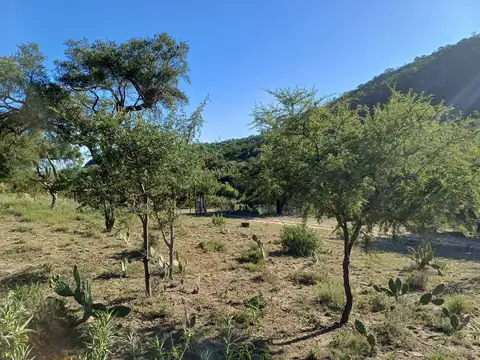 Terreno en Venta de 2000,0 m2