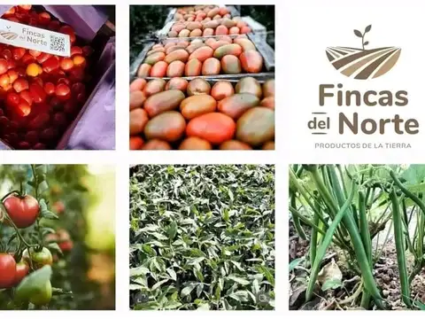 FINCA EN VENTA – COLONIA SANTA ROSA – DE 14 A 28 HA – U$S 15.000 / ha