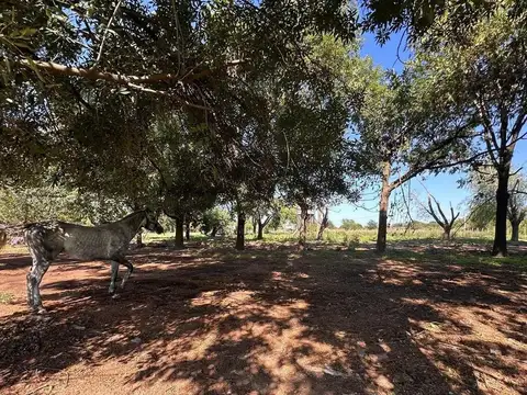 Lote 100% financiado en Venta en Diego Gaynor, Exaltación de la Cruz, G.B.A. Zona Norte