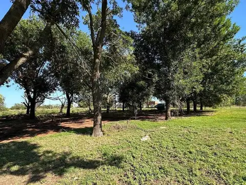 Lote 100% financiado en Venta en Diego Gaynor, Exaltación de la Cruz, G.B.A. Zona Norte