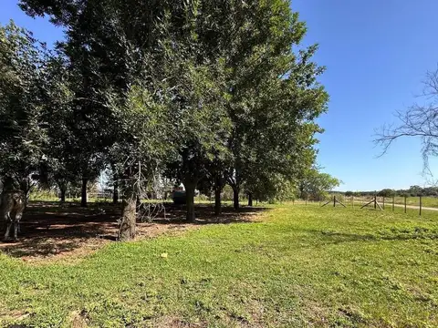Terreno en Venta en Diego Gaynor, USD 19.800