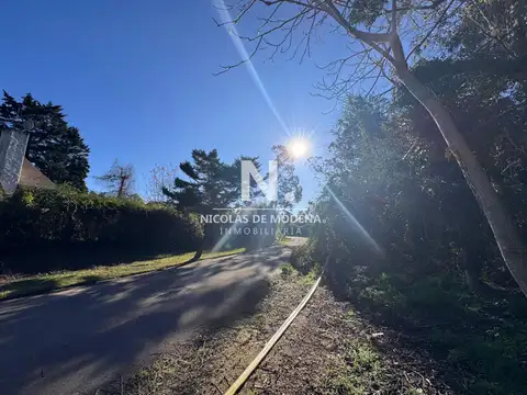 Terreno en Venta 32  mts Fondo