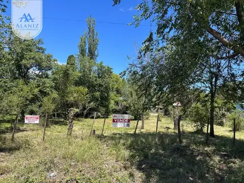 Granaderos Puntanos 100