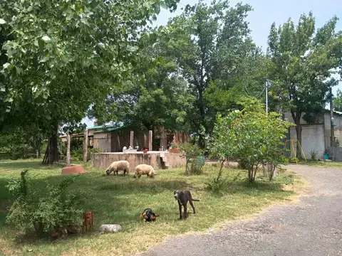Terreno en Venta en Pérez, USD 250.000