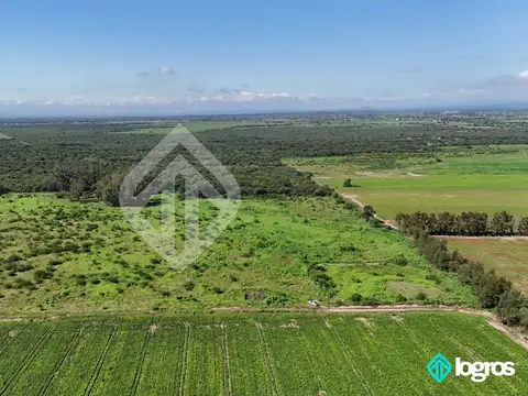 Campo en venta de 50 has en General Güemes - Provincia de Salta