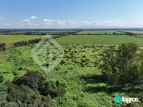 Campo en venta de 50 has en General Güemes - Provincia de Salta