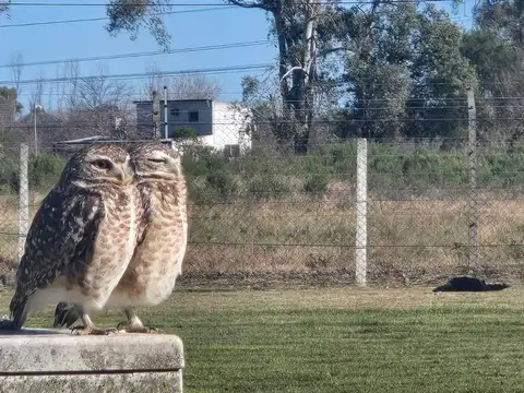 Terreno en Venta en Boca Raton, USD 45.000