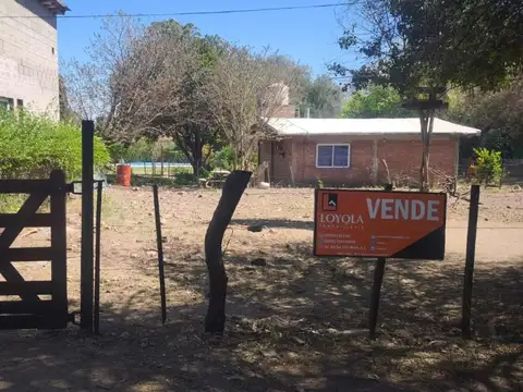 Pedernera