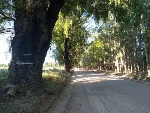 Venta Terreno 2,4 ha Uspallata Mendoza