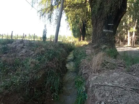 Terreno en Venta de 24000,0 m2