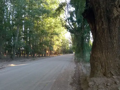 RUTA P´ROVINCIAL 52 S/N