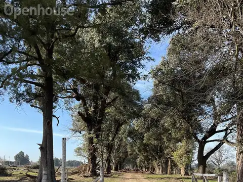 VENTA - LOTE EN BARRIO SEMI CERRADO LA ESTANCIA - GRAL RODRIGUEZ