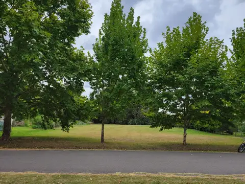 Lote en venta Haras San Pablo a fondo libre forestado