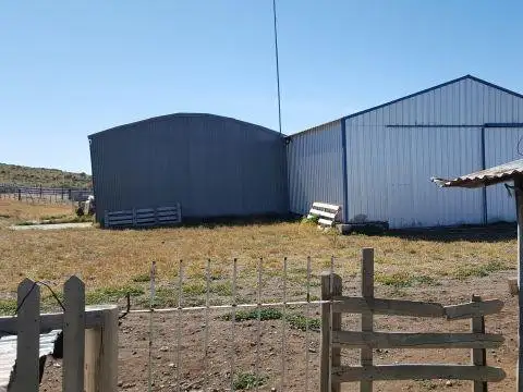 Campo - Perito Moreno