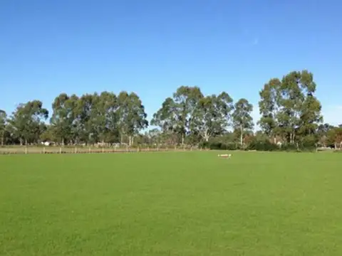 Terreno en venta en Santo Tomás