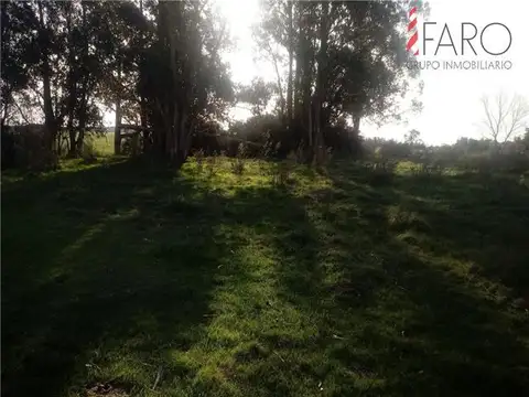 PROPIEDADES RURALES - CHACRA - MALDONADO