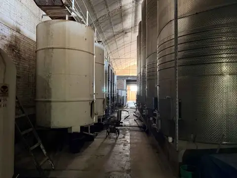 BODEGA PRODUCTIVA CON VIÑEDOS EN VENTA MENDOZA
