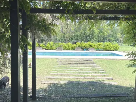 Aristóbulo del Valle 1300