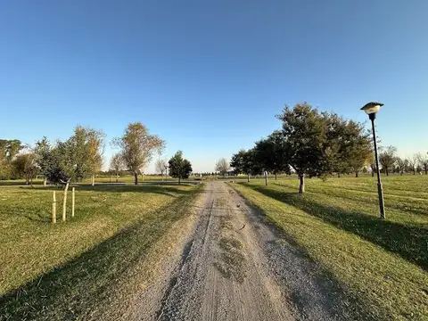 Ruta 2 km 90 - Lote 387