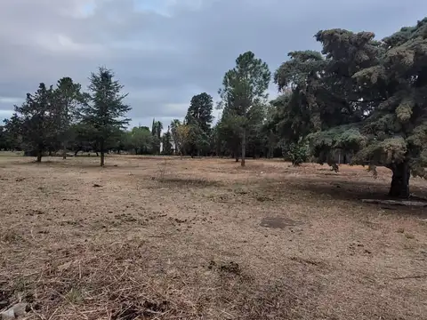 VENTA FINCA CON VIÑEDO COLONIA CAROYA