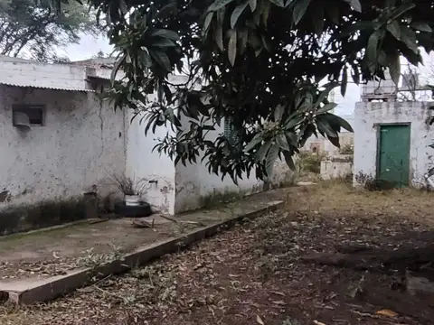 colonia caroya