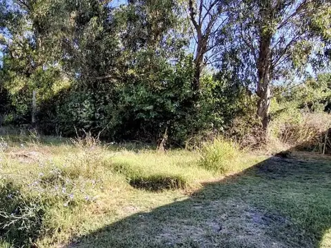 Venta de lote en Sicardi 300 mts2