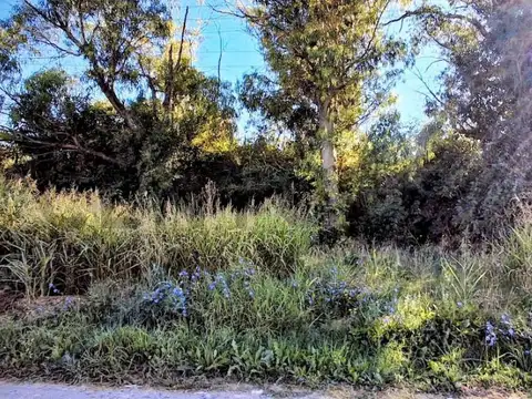 Venta de lote en Sicardi 300 mts2