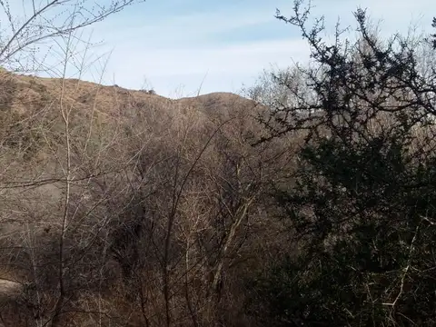 Terreno en Venta de 920,0 m2