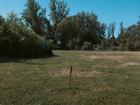 Terreno en Venta de 250,0 m2