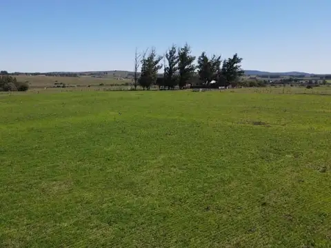Ruta 12, km 14 100