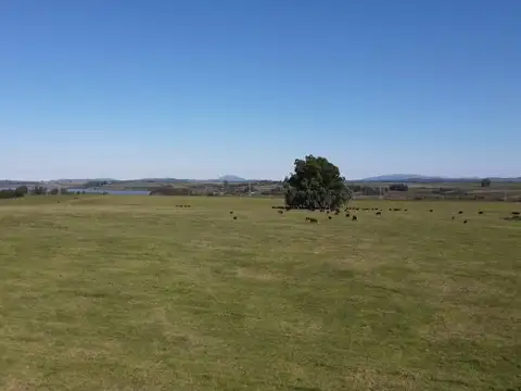 Ruta 12, km 14 100