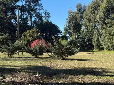Venta de Chacra 7 has Ruta 6 km 25300