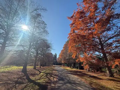 Terreno en Venta de 3950,0 m2