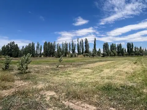 VENTA TERRENO INTERNO EN PERDRIEL LUJAN DE CUYO