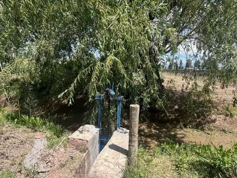 Terreno en Venta de 7000,0 m2