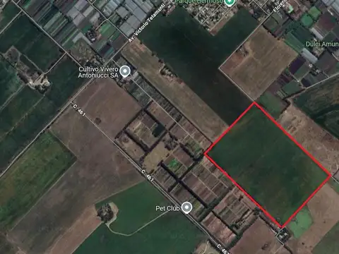 CAMPO 52 HECTAREAS AGRICOLA