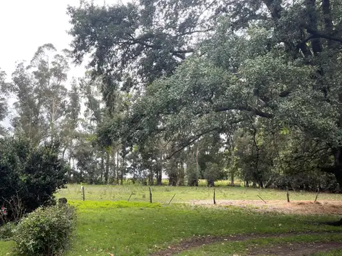 Campo en Venta Ganadero