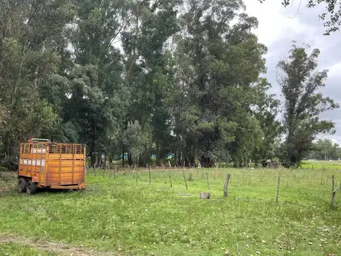 Base área