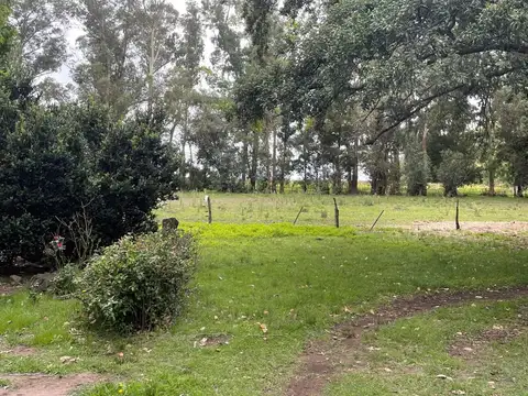 Campo en Venta Ganadero